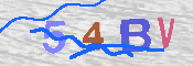 CAPTCHA-Bild