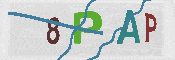 CAPTCHA-Bild