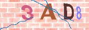 CAPTCHA-Bild
