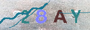 CAPTCHA-Bild