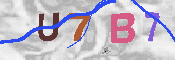 CAPTCHA-Bild