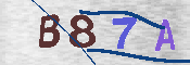 CAPTCHA-Bild