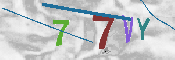 CAPTCHA-Bild