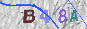 CAPTCHA-Bild