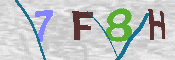 CAPTCHA-Bild