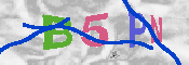CAPTCHA-Bild