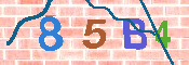 CAPTCHA-Bild