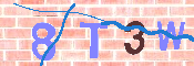 CAPTCHA-Bild