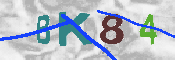 CAPTCHA-Bild