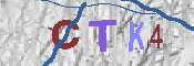 CAPTCHA-Bild