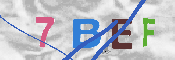 CAPTCHA-Bild