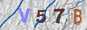 CAPTCHA-Bild