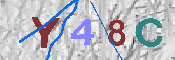 CAPTCHA-Bild