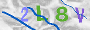 CAPTCHA-Bild