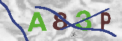 CAPTCHA-Bild