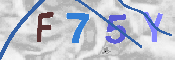 CAPTCHA-Bild