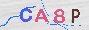 CAPTCHA-Bild