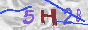 CAPTCHA-Bild