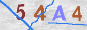 CAPTCHA-Bild