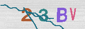 CAPTCHA-Bild