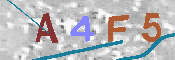 CAPTCHA-Bild