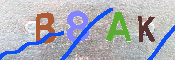 CAPTCHA-Bild