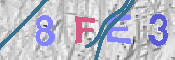 CAPTCHA-Bild