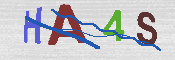 CAPTCHA-Bild