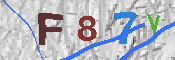 CAPTCHA-Bild