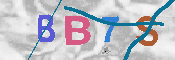 CAPTCHA-Bild