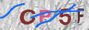 CAPTCHA-Bild