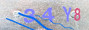 CAPTCHA-Bild