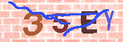 CAPTCHA-Bild