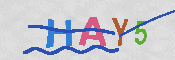 CAPTCHA-Bild