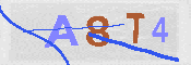 CAPTCHA-Bild