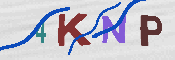 CAPTCHA-Bild