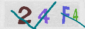 CAPTCHA-Bild
