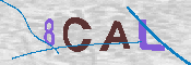 CAPTCHA-Bild