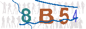 CAPTCHA-Bild