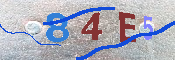 CAPTCHA-Bild