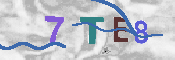 CAPTCHA-Bild