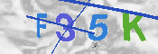 CAPTCHA-Bild