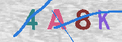 CAPTCHA-Bild