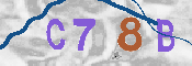 CAPTCHA-Bild