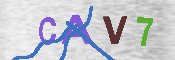 CAPTCHA-Bild