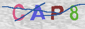 CAPTCHA-Bild