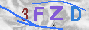 CAPTCHA-Bild