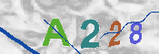 CAPTCHA-Bild