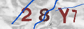 CAPTCHA-Bild
