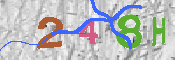 CAPTCHA-Bild